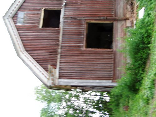 P1010005.JPG