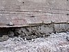 P6090057.JPG