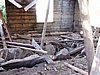 P1010036.JPG