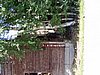P1010050.JPG