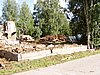P1010078.JPG