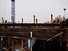 P1010069.JPG