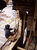 P5300095.JPG
