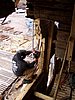 P5300096.JPG